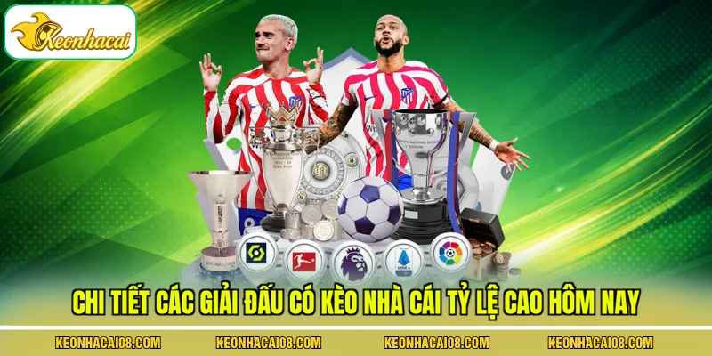 Chi tiết các giải đấu có kèo nhà cái tỷ lệ cao hôm nay
