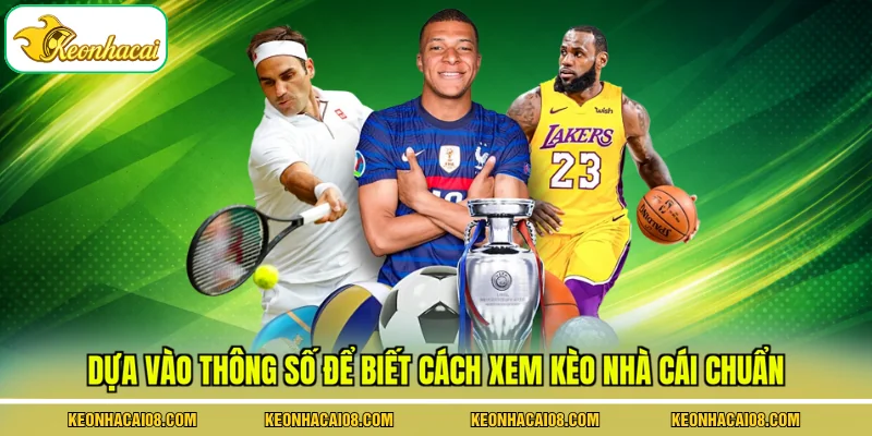 Dựa vào thông số để biết cách xem kèo nhà cái chuẩn