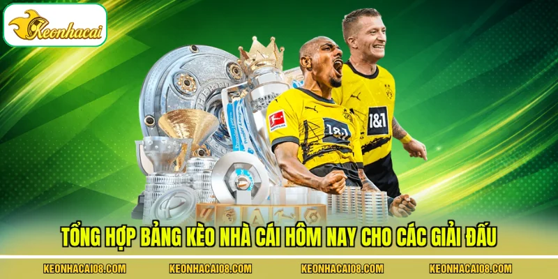 Tổng hợp bảng kèo nhà cái hôm nay cho các giải đấu